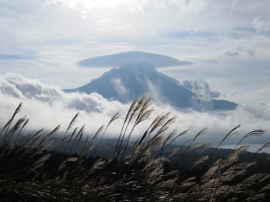 10/8 �X�X�L�ƕx�m�R