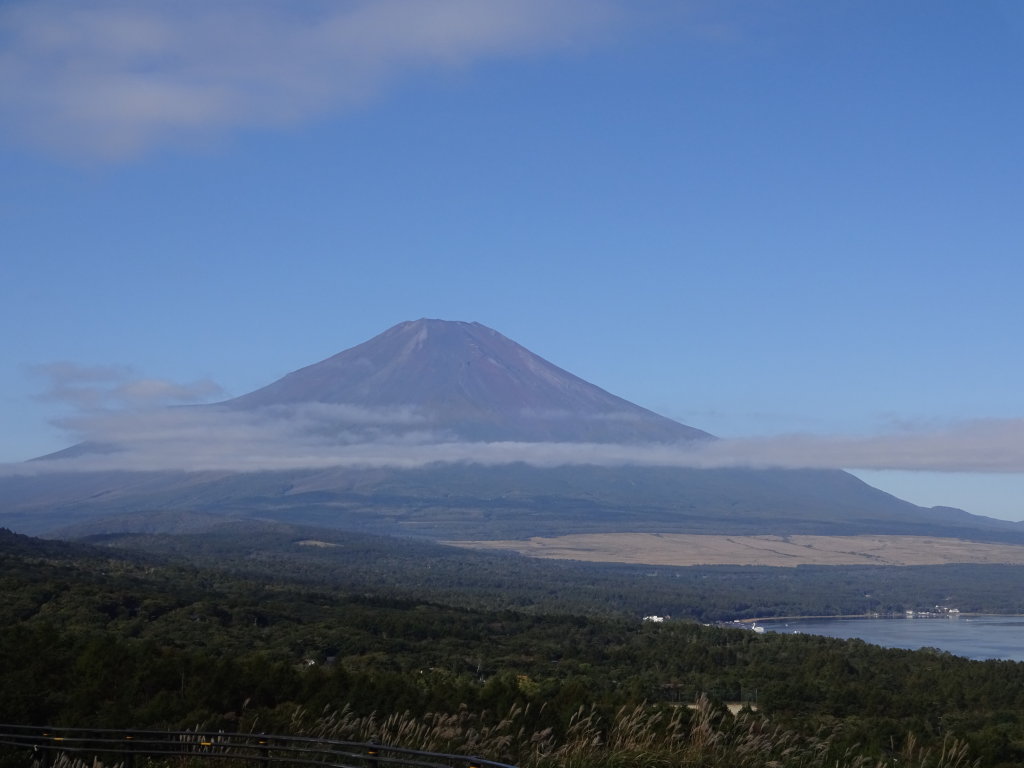 10/10 �_���L����