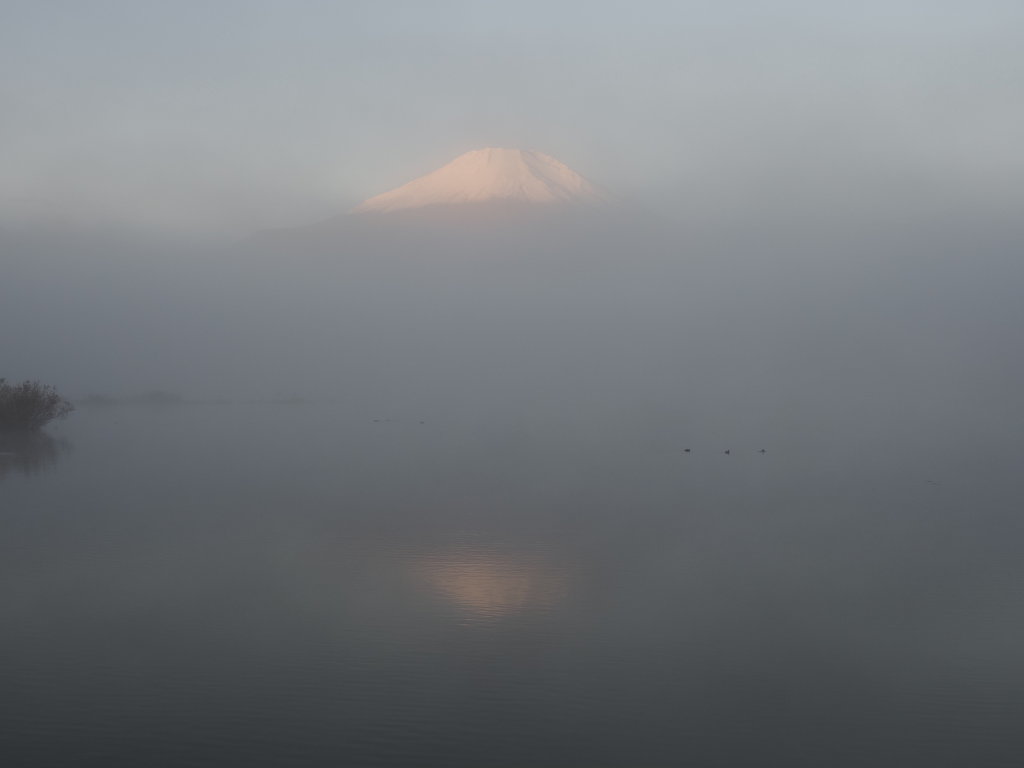 10/30 �J�オ��̒��Ă�