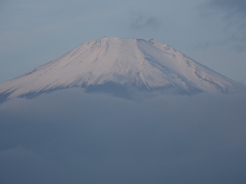 10/31 �����n�߂��x�m�R