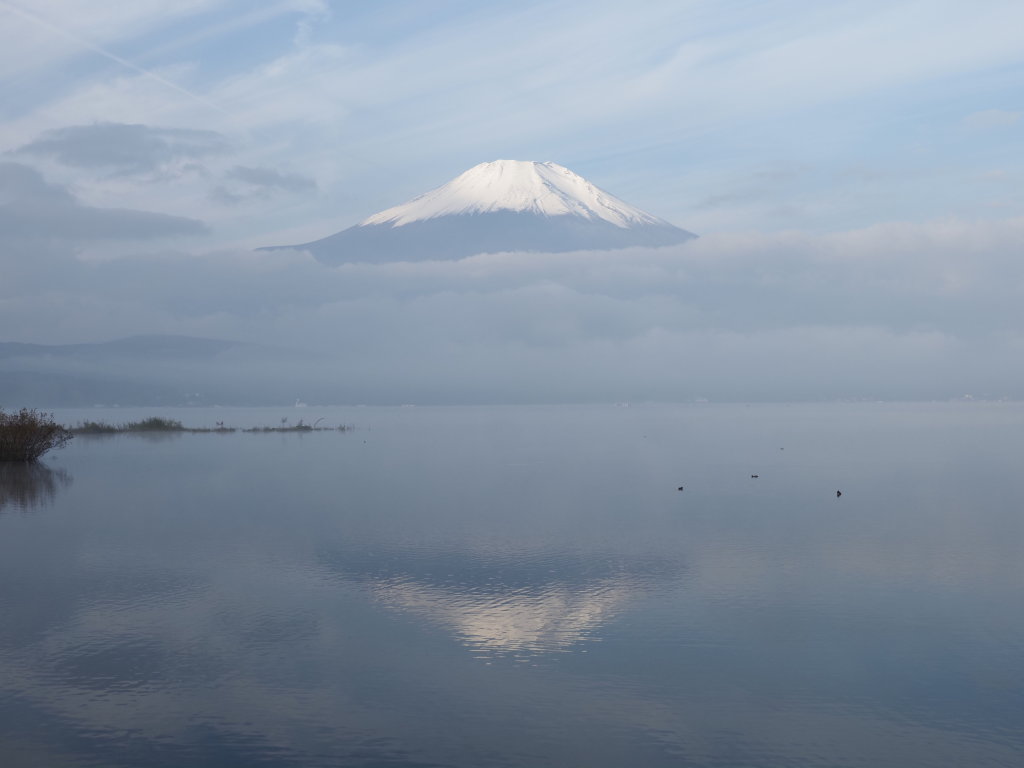 10/31 ���삩��̋t���x�m