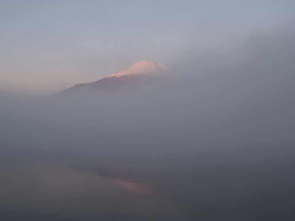 11/1 �����n�߂��x�m�R