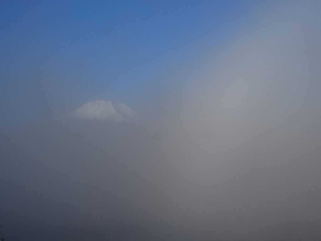 11/1 ������