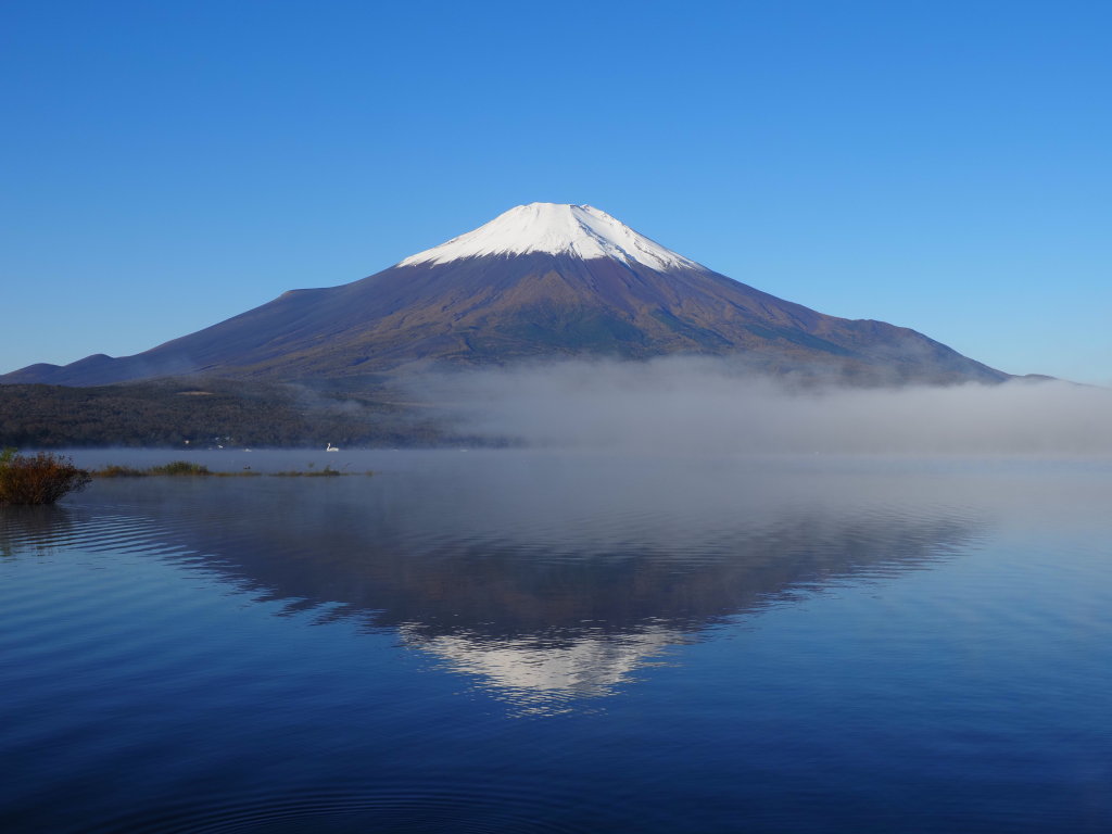 11/1 �t���x�m