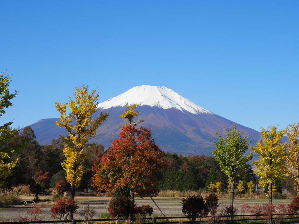 11/1 �U���̓r��