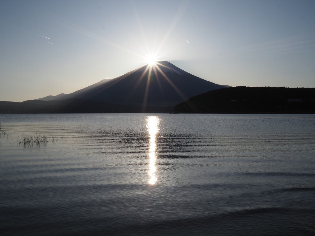 11/1 �_�C�������h�x�m(2)