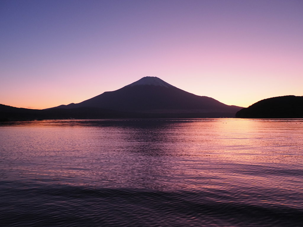 11/1 �[�Ă��̕x�m�R