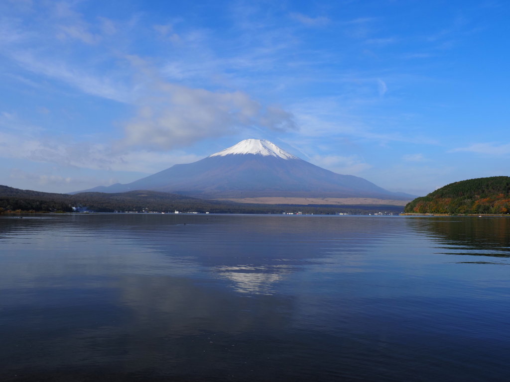 11/2 �悤�₭�������x�m�R