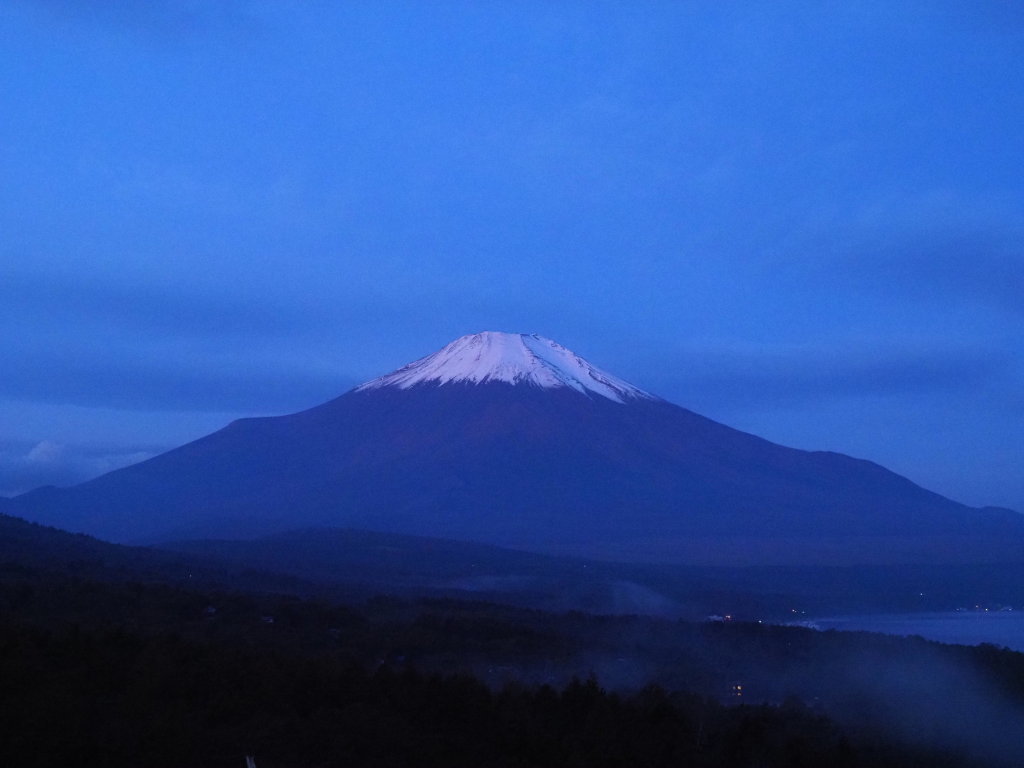 11/3 �_�C�Ȃ�