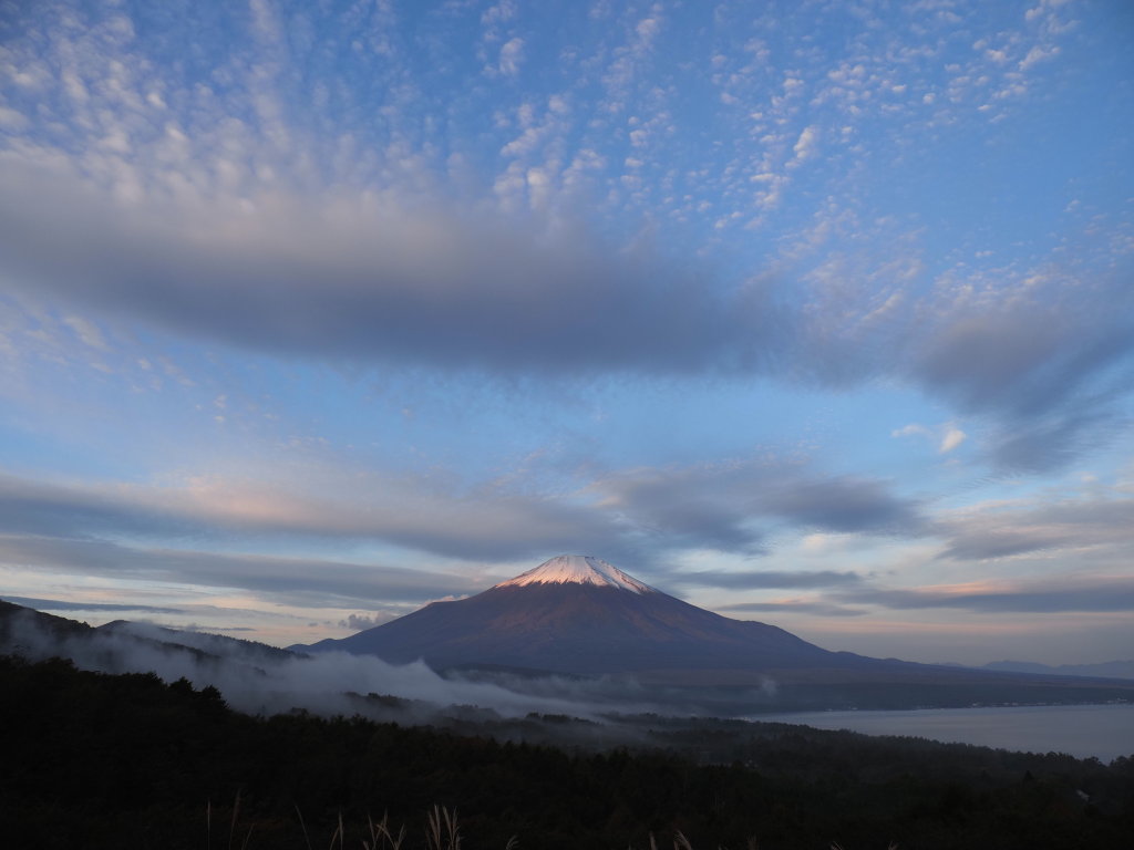 11/3 �_�ƕx�m�R