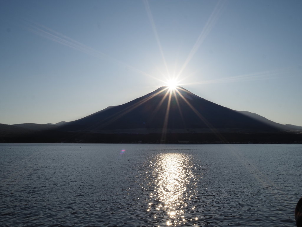 11/6 �_�C�������h�x�m(2)