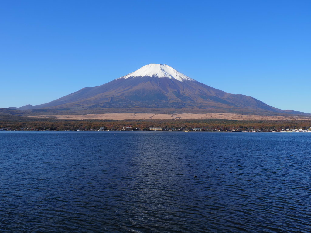 11/7 �s�[�J���̕x�m�R