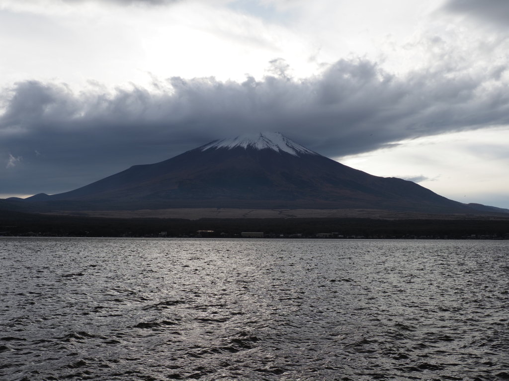 11/7 �_�̒��̃_�C��