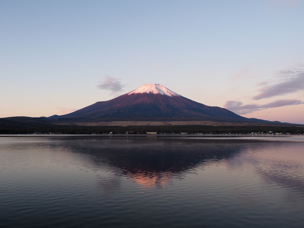 11/8 �t���g�x�m