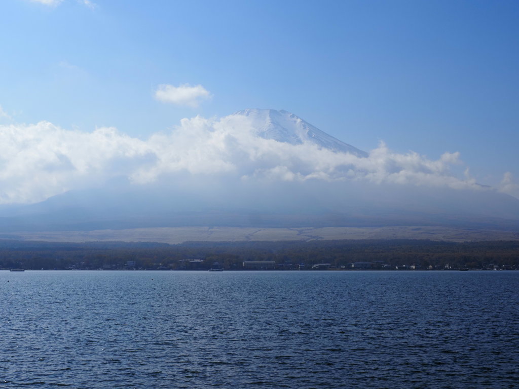 11/9 ��u�̕x�m�R