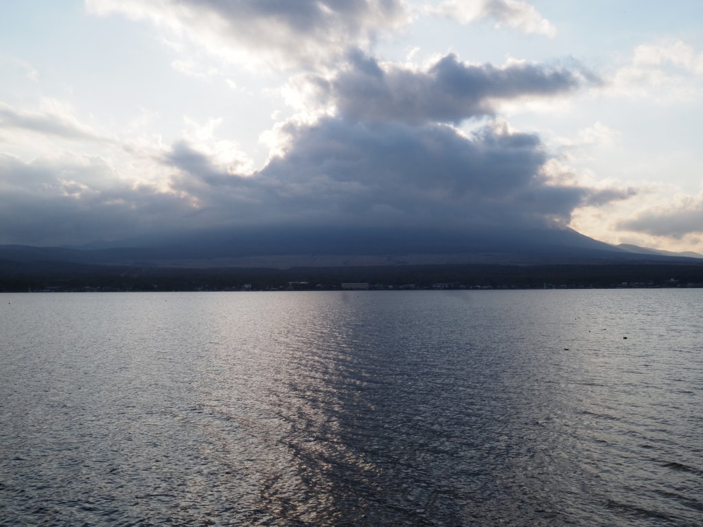 11/9 �_�̒��̃_�C��