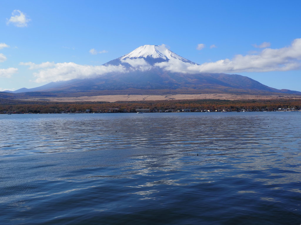 11/10 �_�ƕx�m�R