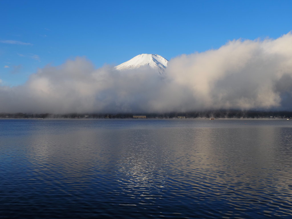 11/11 �����n�߂��x�m�R