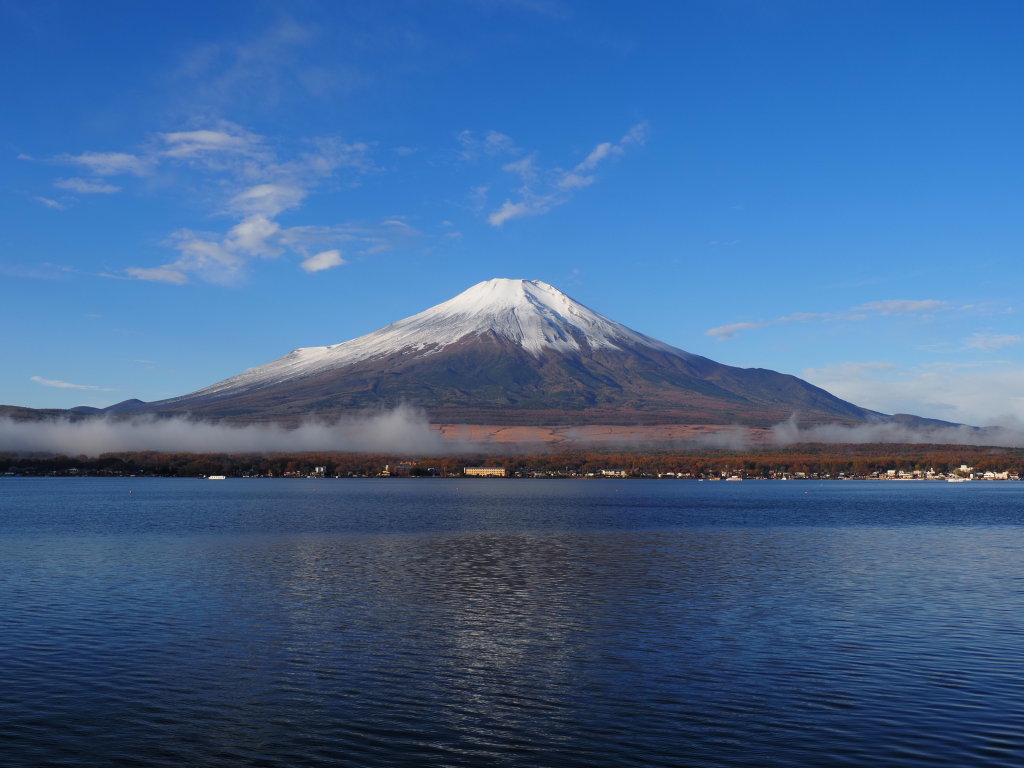 11/11 �^�����Ȃ����x�m�R