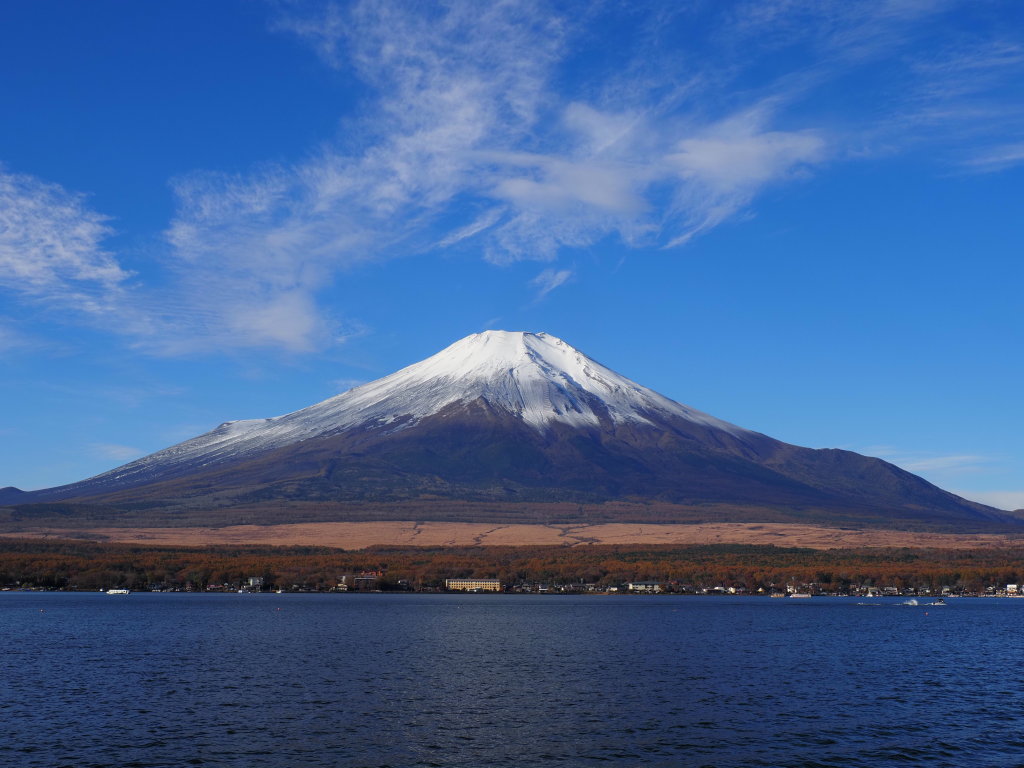 11/11 �����̕x�m�R