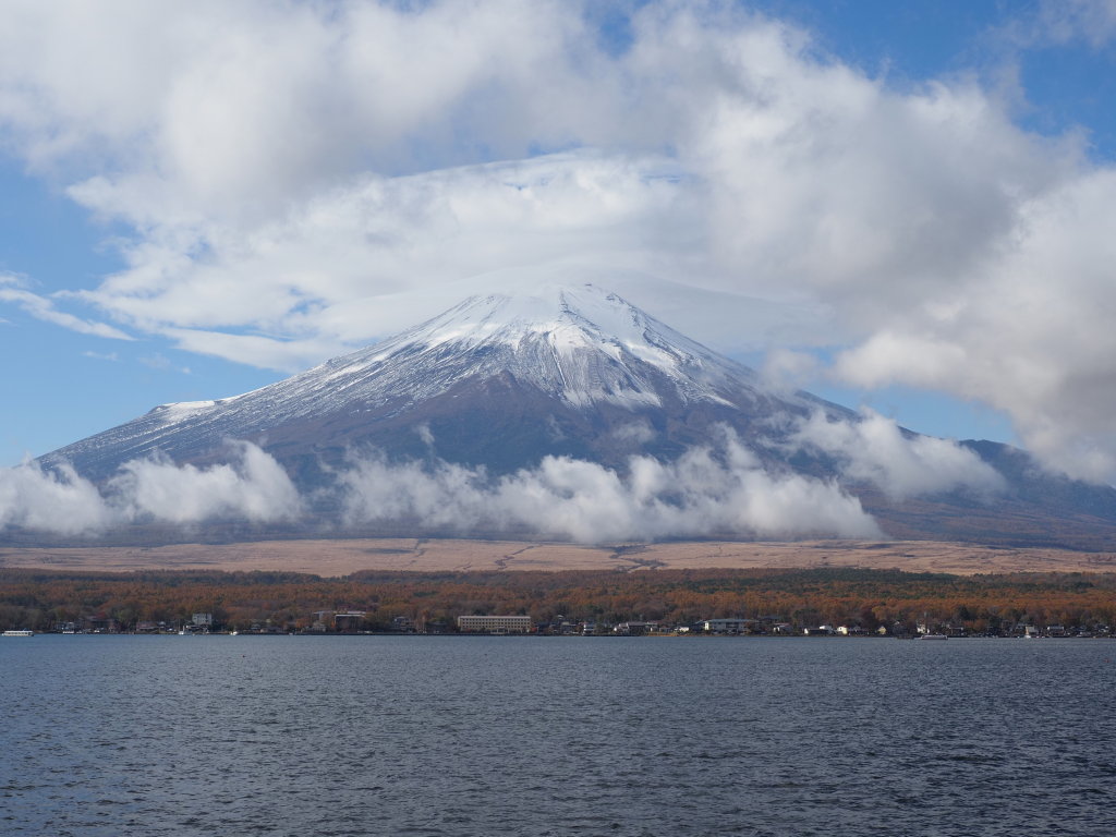 11/11 �\���̕x�m�R