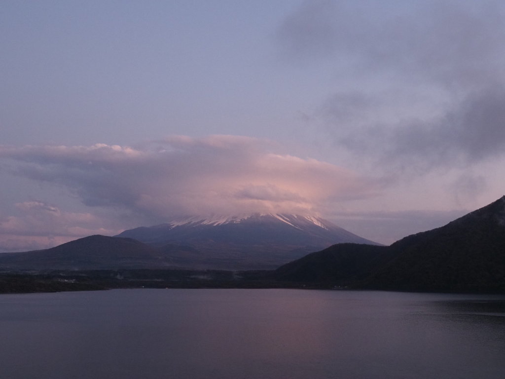 11/11 �R�������̗[�Ă�