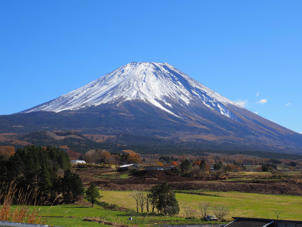 11/12 �ቻ�ς̕x�m�R