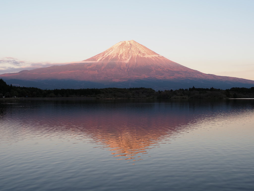 11/12 �[�Ă��̋t���x�m