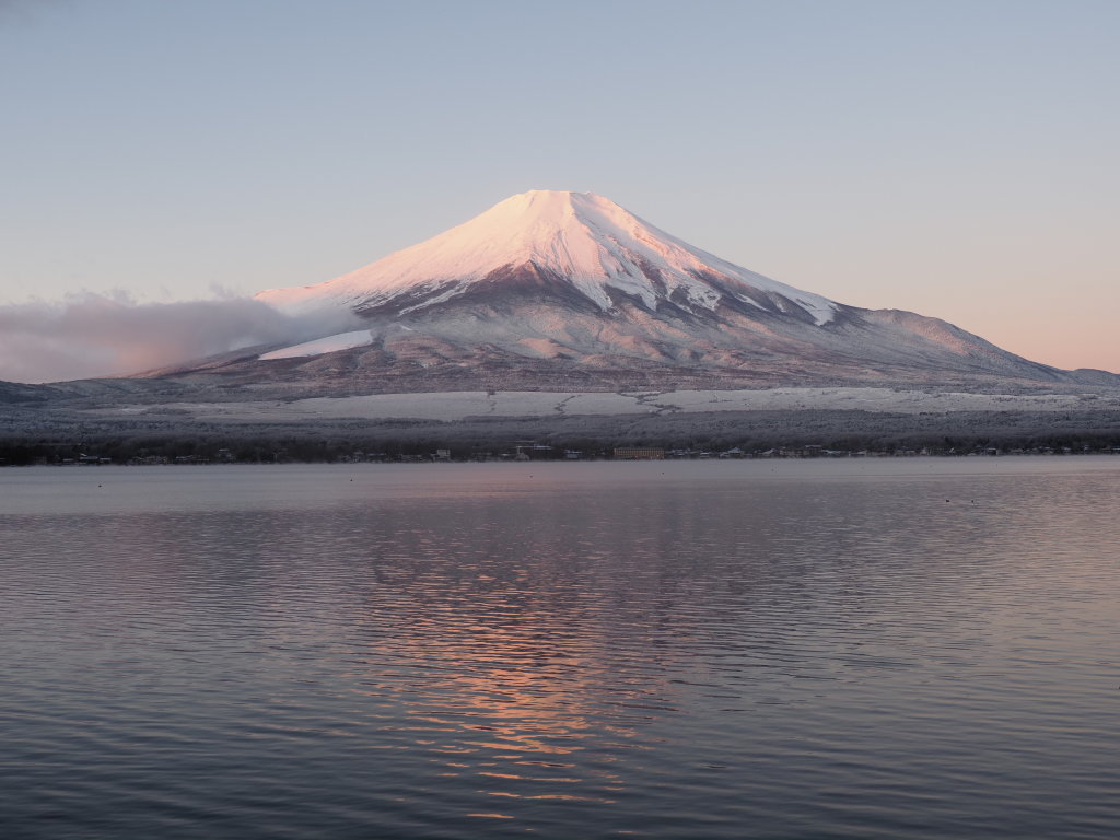 11/29 ���Ă��̕x�m�R