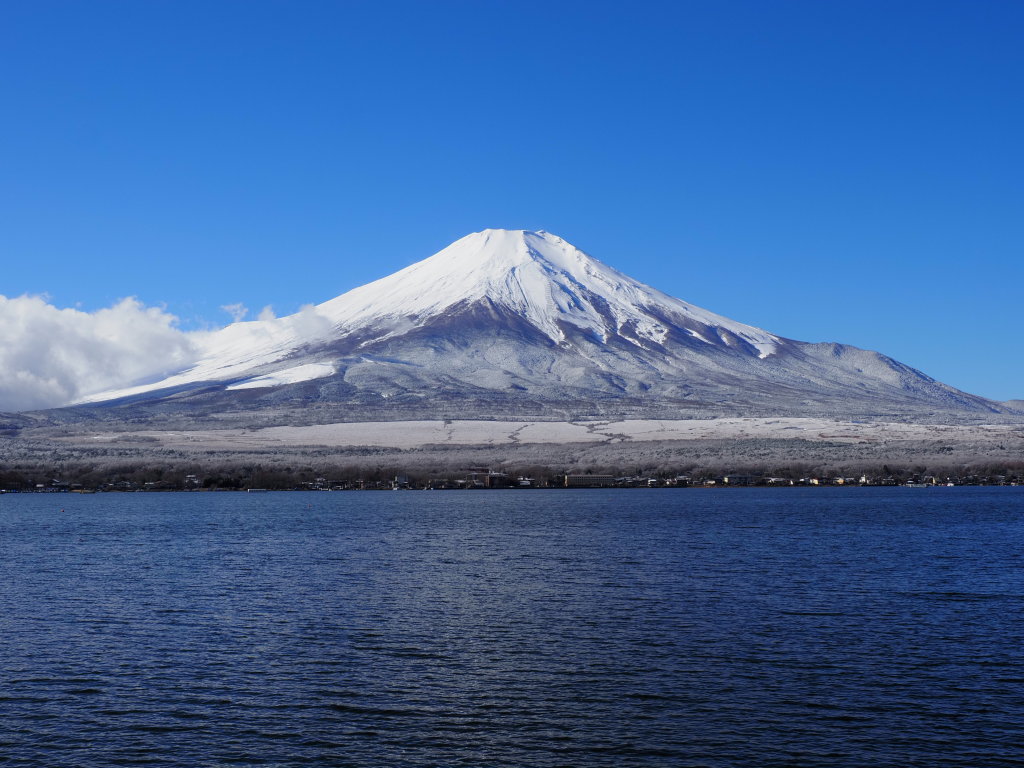 11/29 �\���̕x�m�R