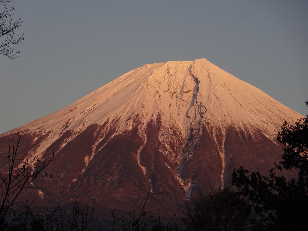 11/12 �[�Ă��̕x�m�R