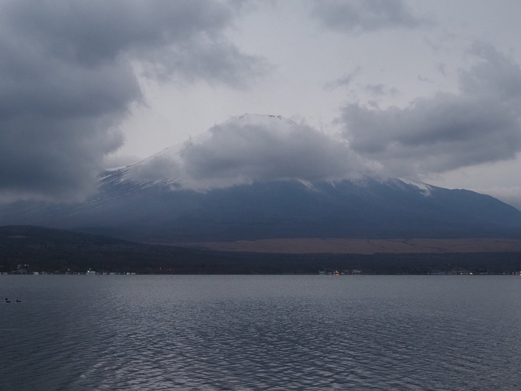 12/7 �܂�̕x�m�R