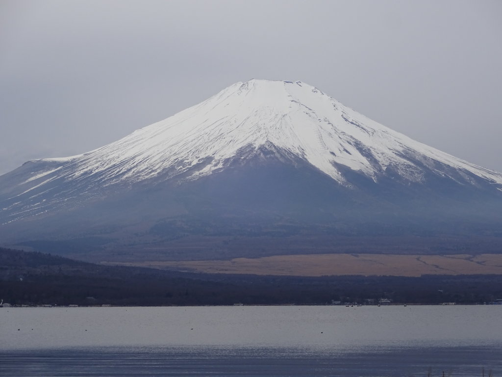 12/7 �U���̓r��