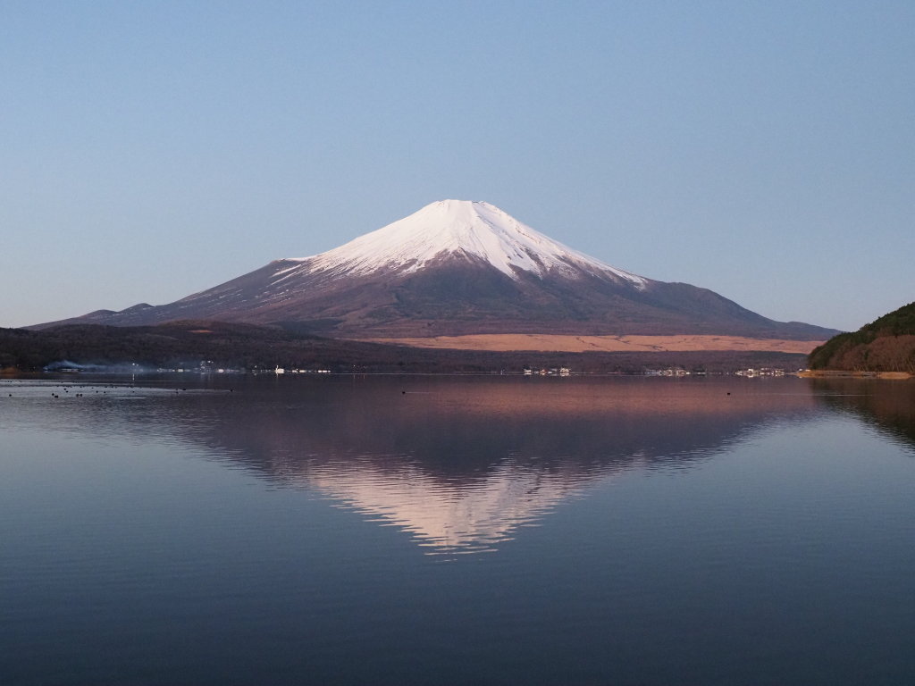 12/8 �閾���O�̋t���x�m