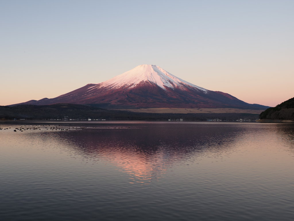 12/8 ���Ă��̍g�x�m