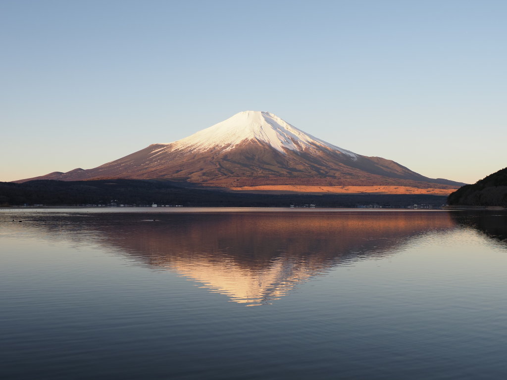 12/8 �t���g�x�m