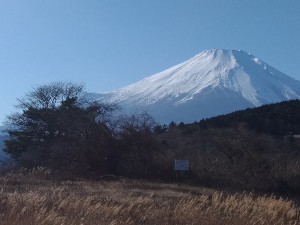 12/8 �U���̓r��