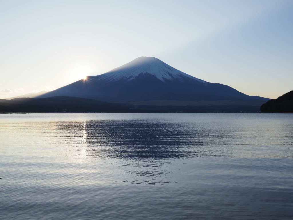 12/8 ���̓���̕x�m�R