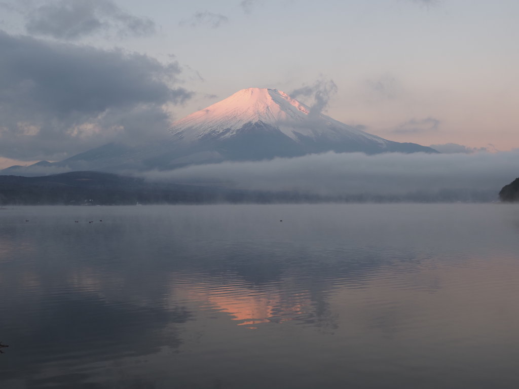 12/9 ���Ă��̍g�x�m