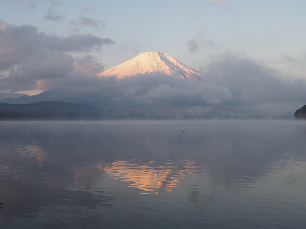 12/9 ���Ă��̕x�m�R