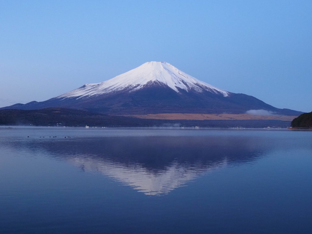 12/11 ��̕x�m�R