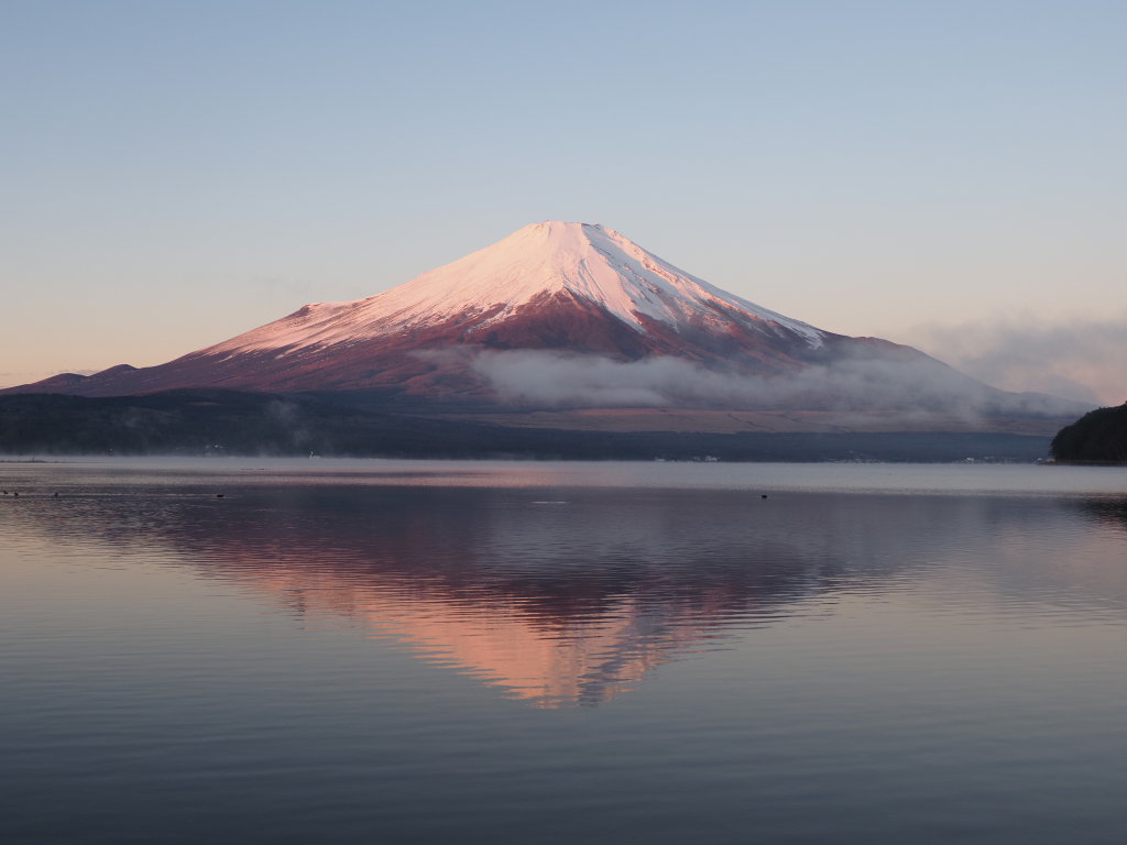 12/11 �g�t���x�m