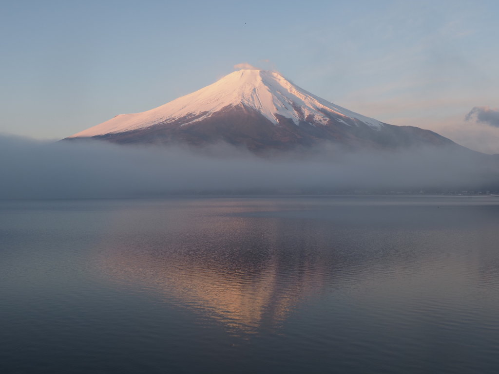 12/18 ���Ă��̋t���x�m