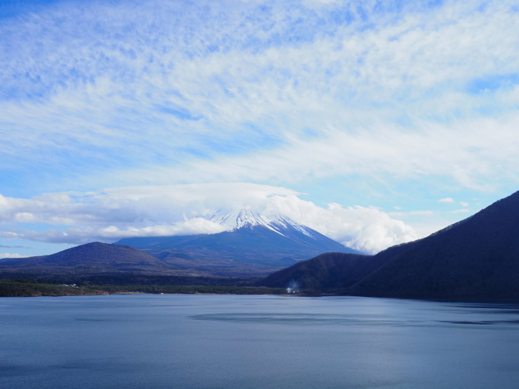 12/18 �_�ƕx�m�R