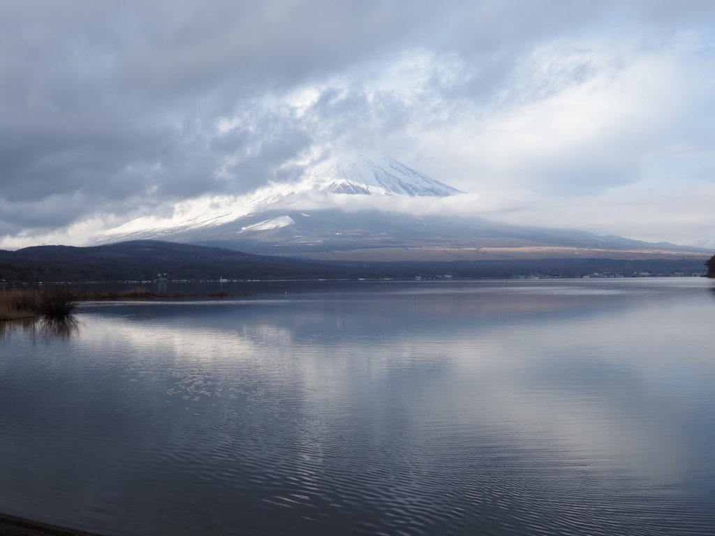 1/7 ��u�̕x�m�R