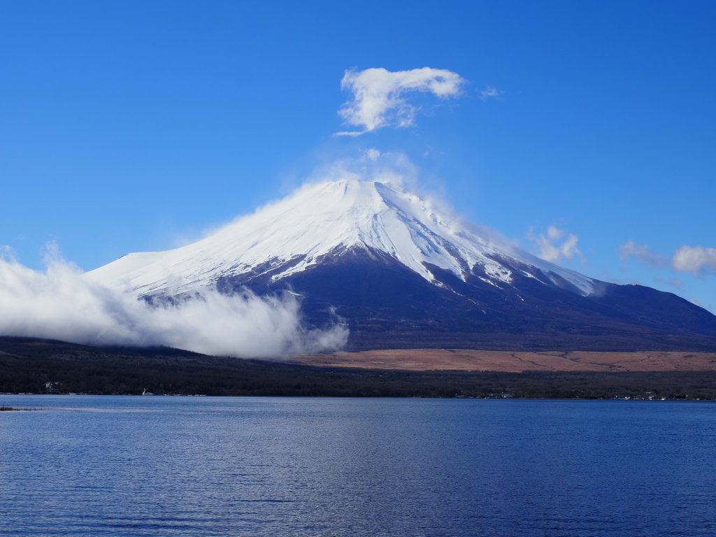 1/8 �����n�߂��x�m�R