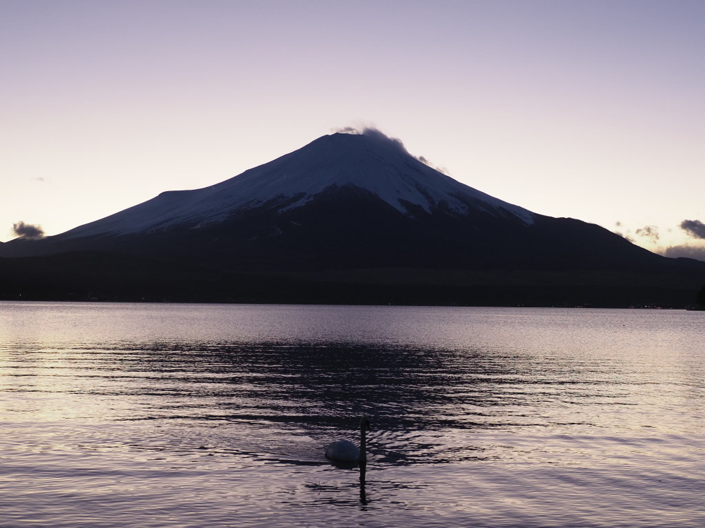 1/8 �ق�̂�[�Ă�