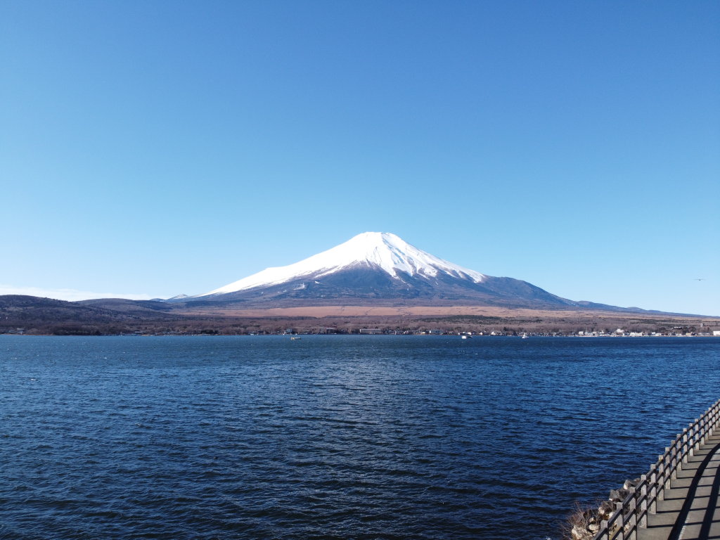 1/9 ��󂩂�̕x�m�R