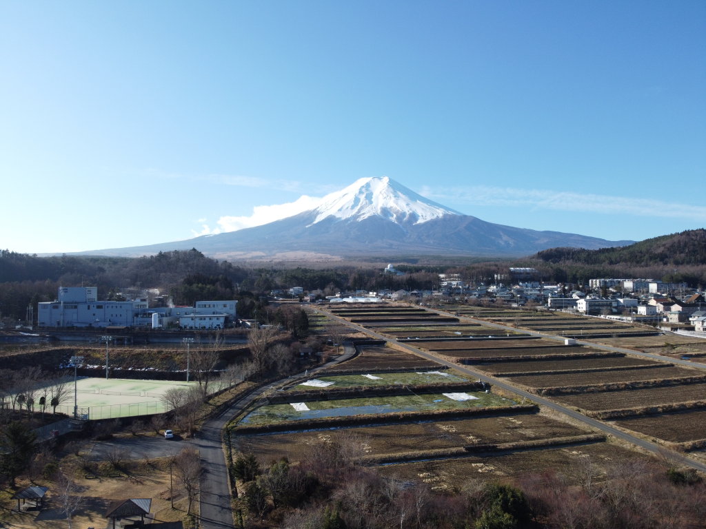 1/10 ��󂩂�̕x�m�R