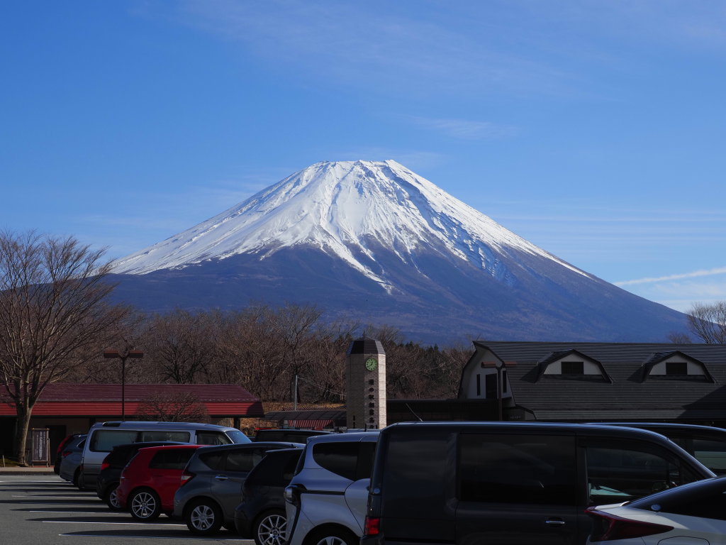 1/11 ������������̕x�m�R(2)